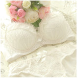 Cup Padded Lace Sheer Bra