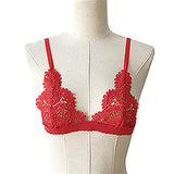 Lace Sexy Bras Push Up For Fast Action